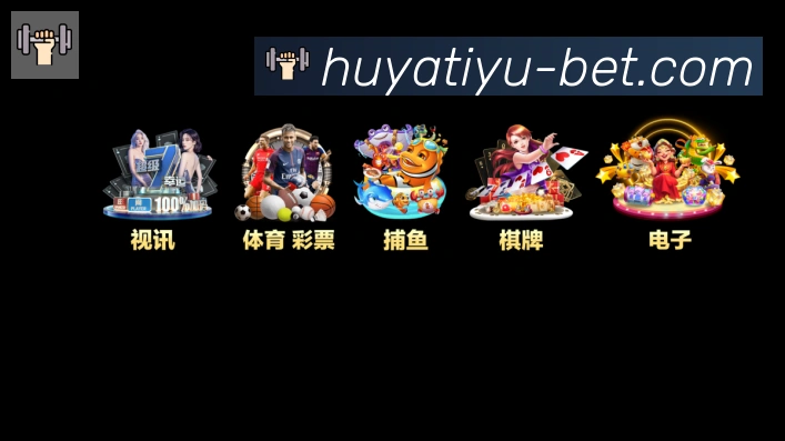 体育数据展示
